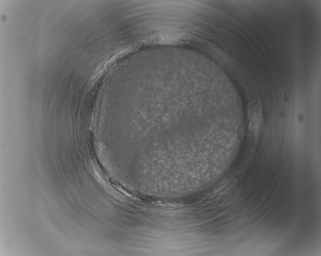 X0000051860542200507081825