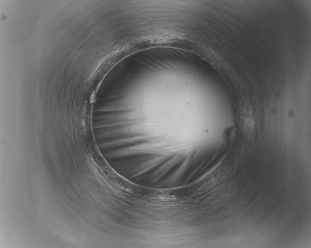 X0000051860543200507081825