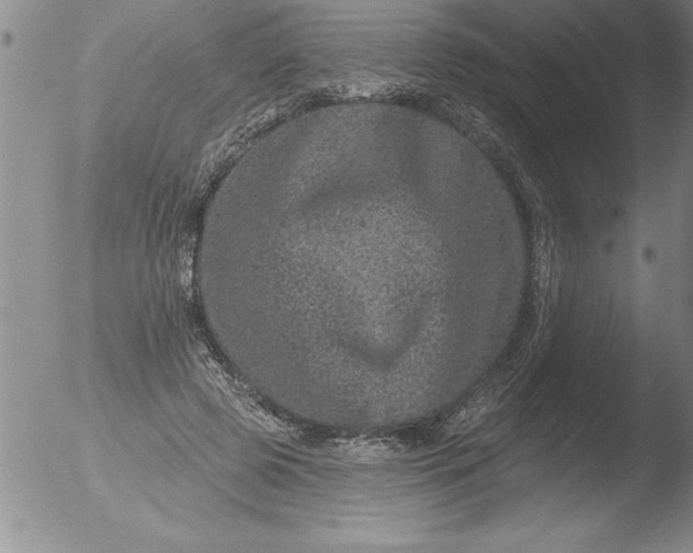 X0000051860545200507081825