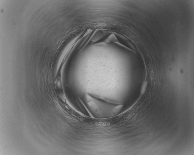 X0000051860546200507081825