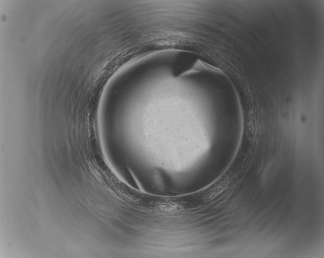 X0000051860547200507081825