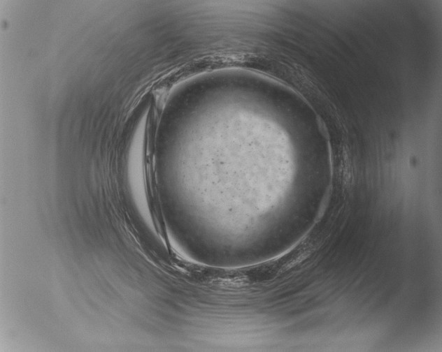 X0000051860548200507081825