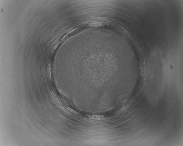 X0000051860549200507081825