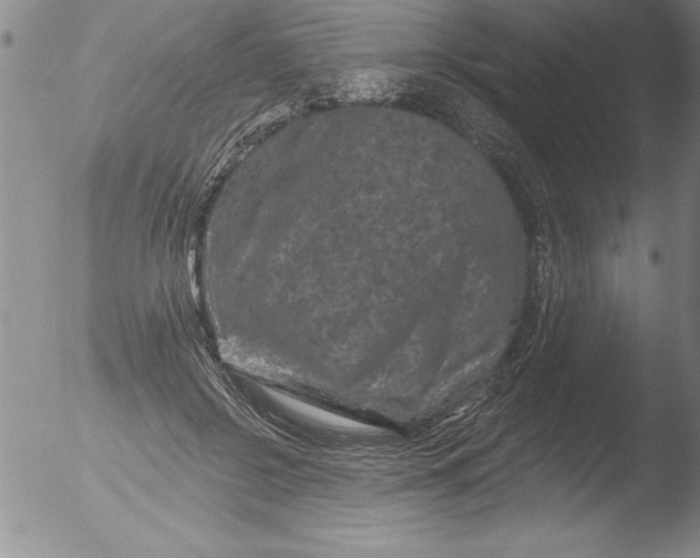 X0000051860550200507081825