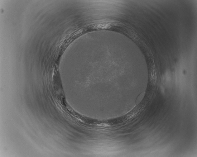 X0000051860551200507081825