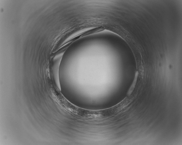 X0000051860552200507081825