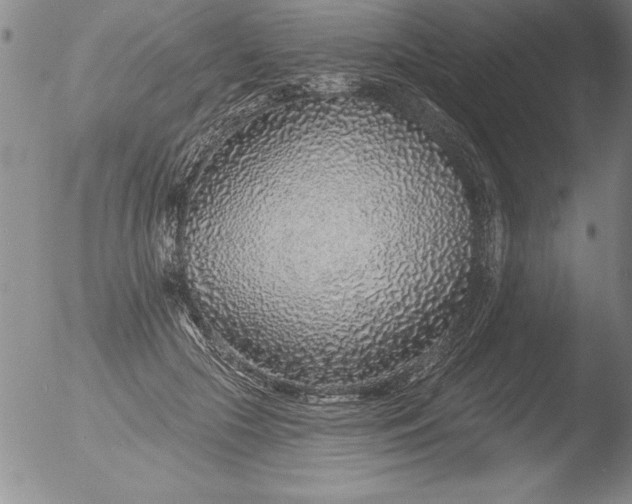 X0000051860553200507081825