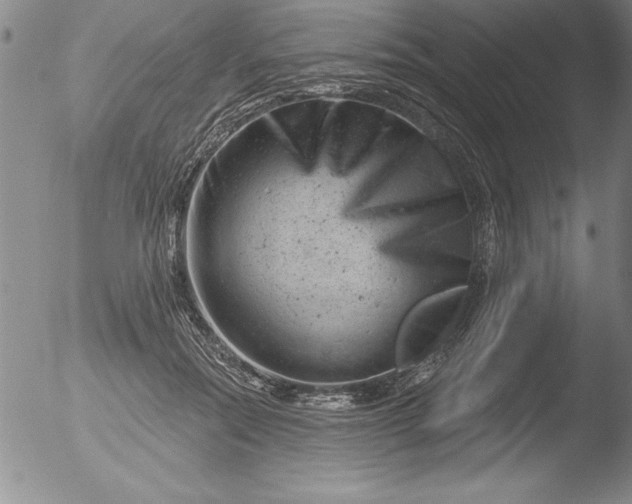 X0000051860554200507081825