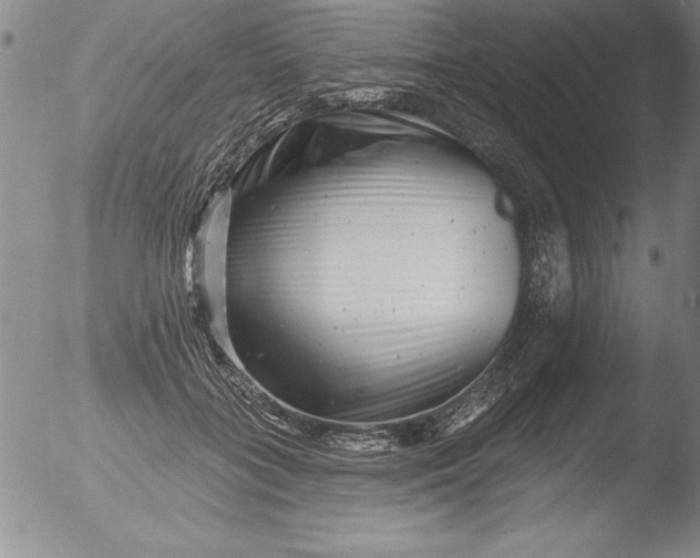 X0000051860555200507081825