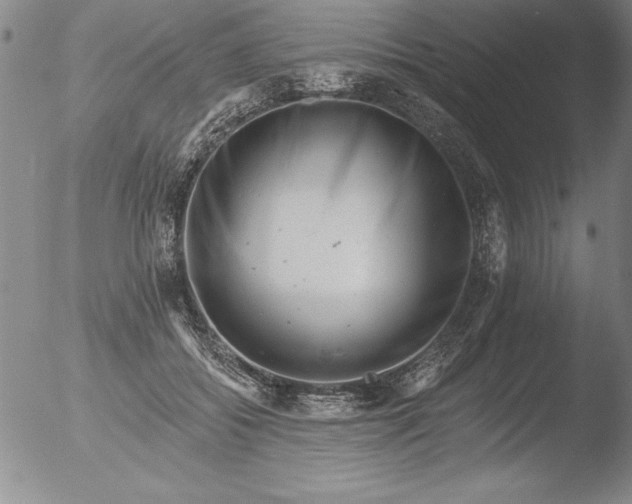 X0000051860556200507081825