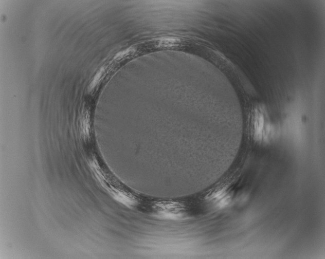 X0000051860557200507081825