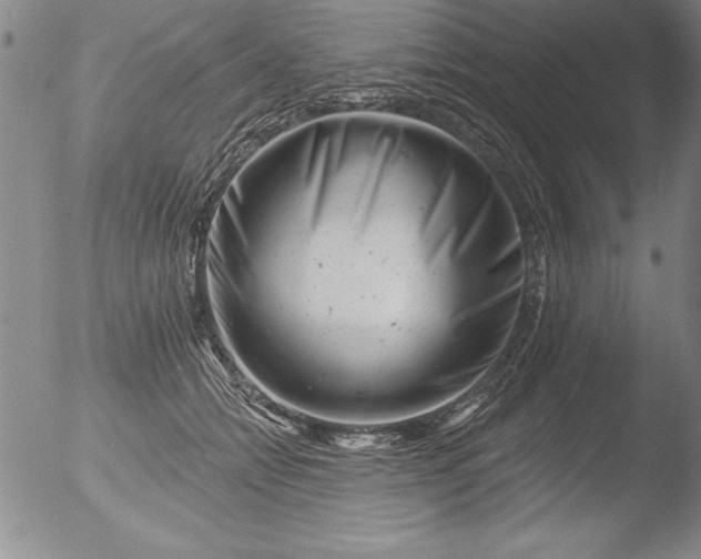 X0000051860558200507081825