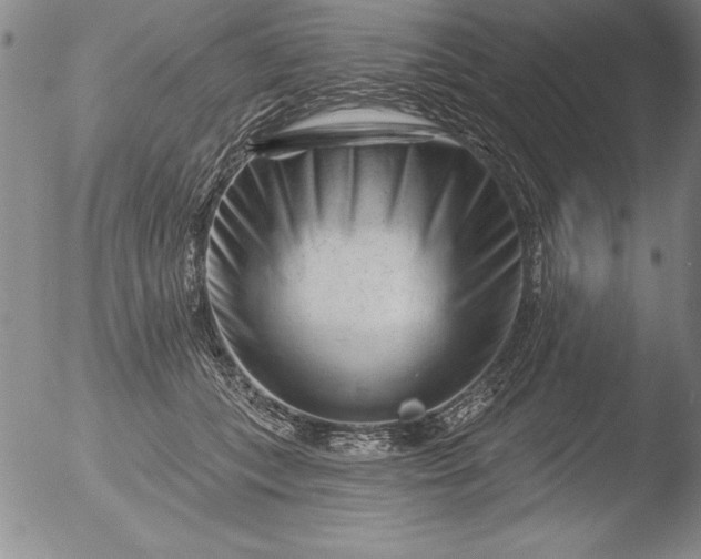 X0000051860559200507081825