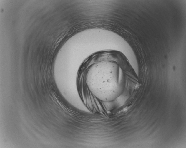 X0000051860560200507081825