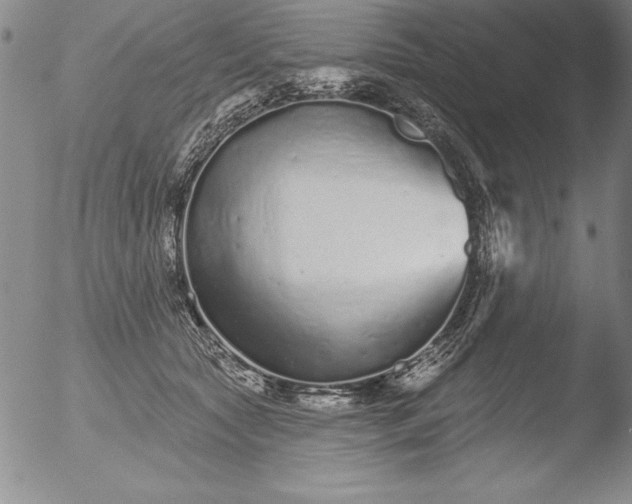 X0000051860561200507081825