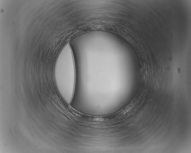 X0000051860562200507081825