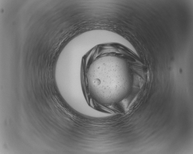 X0000051860564200507081825