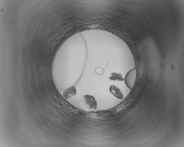 X0000051860565200507081825