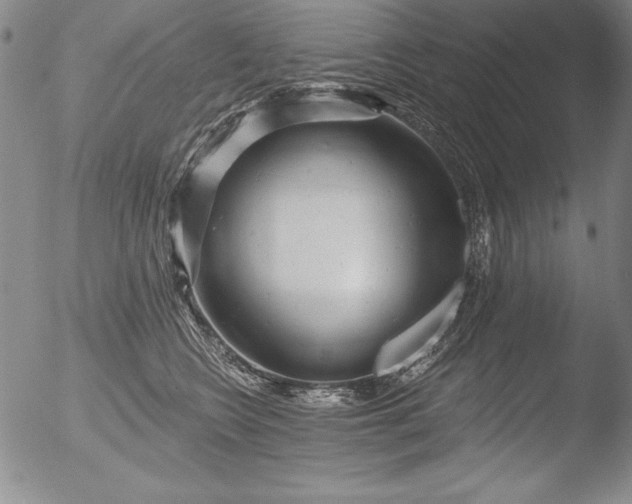 X0000051860566200507081825