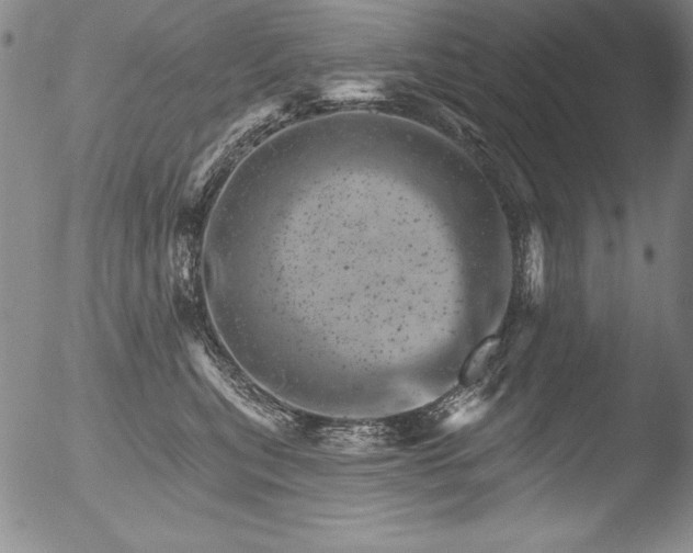 X0000051860567200507081825