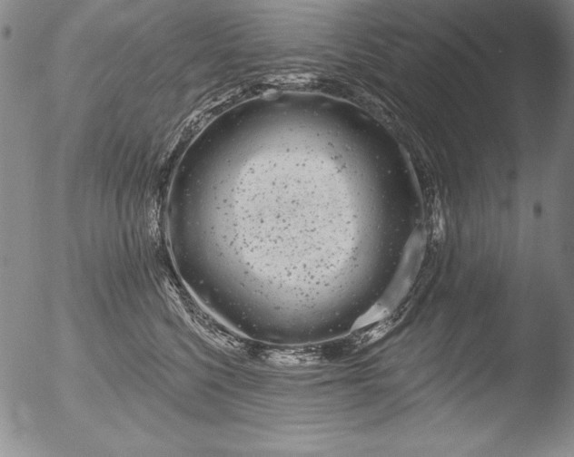 X0000051860568200507081825