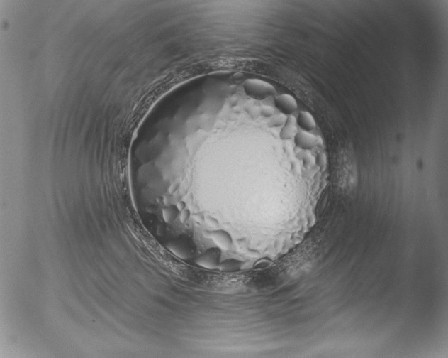 X0000051860569200507081825