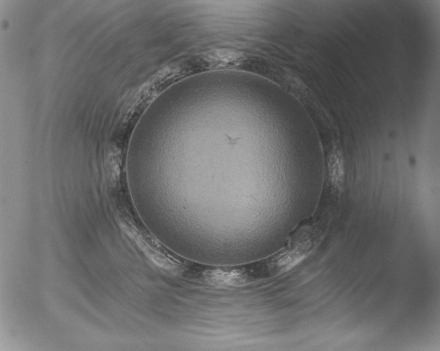 X0000051860570200507081825