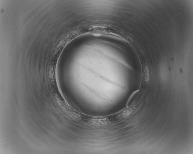 X0000051860571200507081825