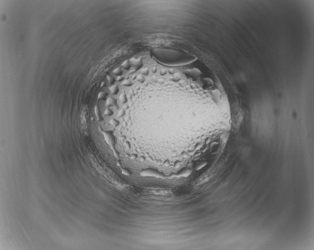 X0000051860573200507081825