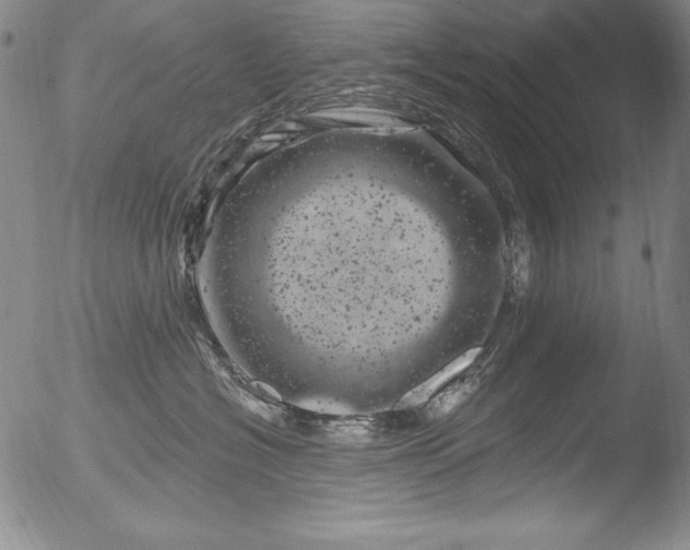 X0000051860574200507081826