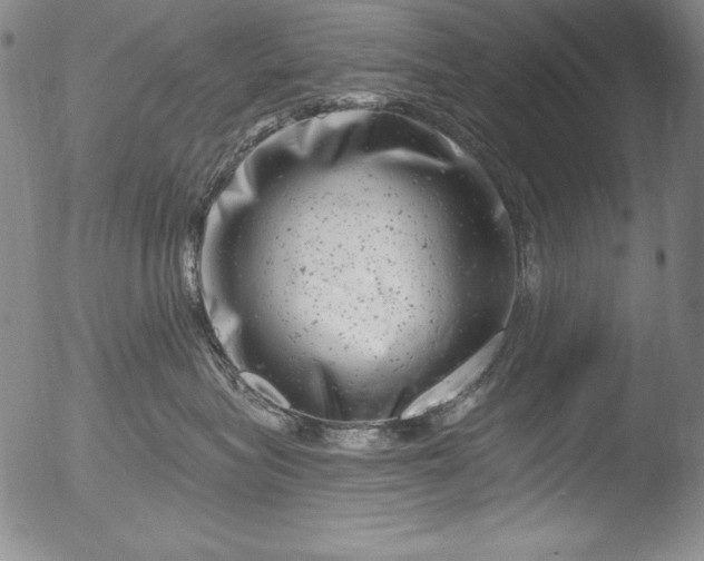 X0000051860575200507081826