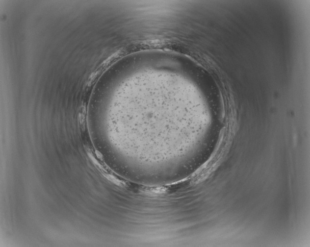 X0000051860576200507081826