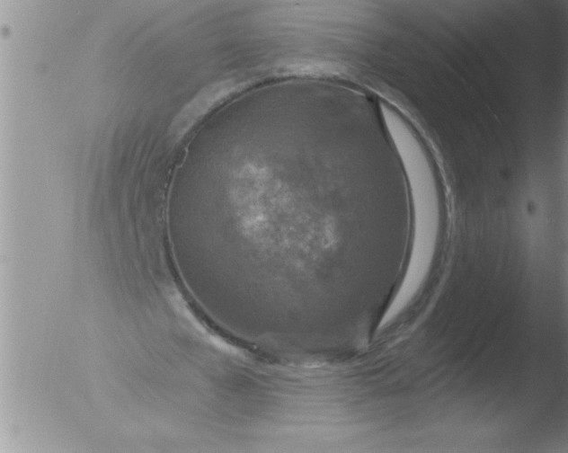 X0000051860577200507081825