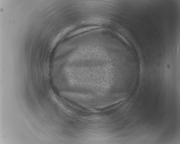 X0000051860578200507081825