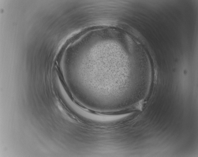 X0000051860580200507081825