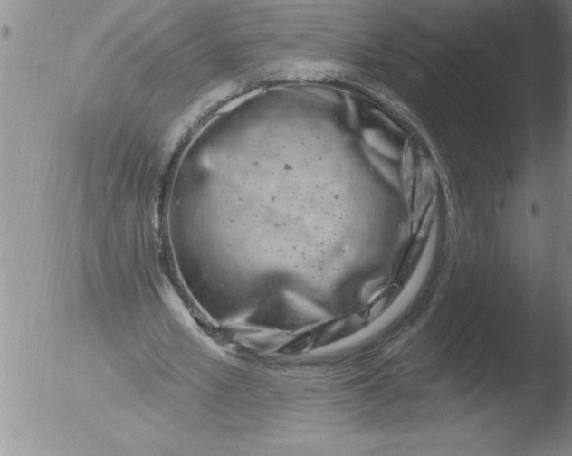 X0000051860581200507081825