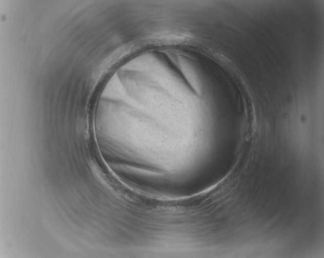 X0000051860582200507081825