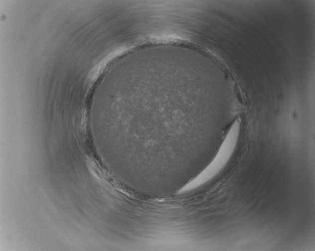 X0000051860583200507081825