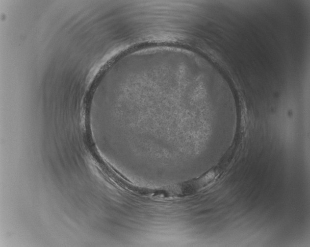 X0000051860584200507081825