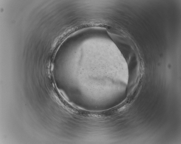 X0000051860585200507081825