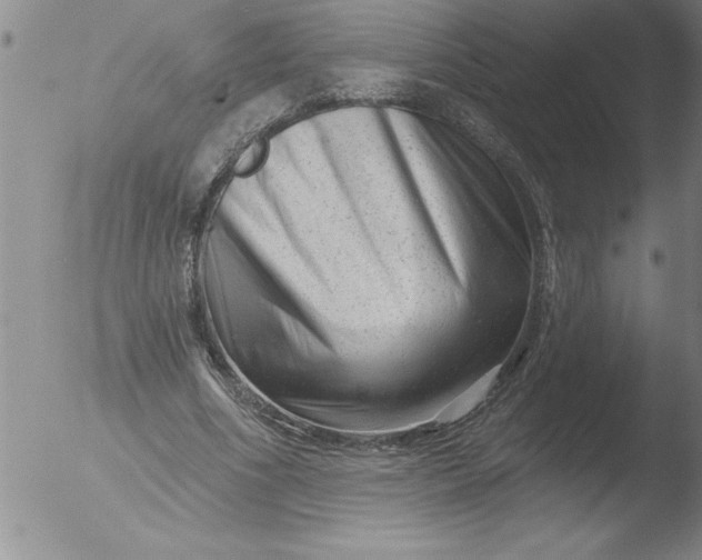 X0000051860586200507081825