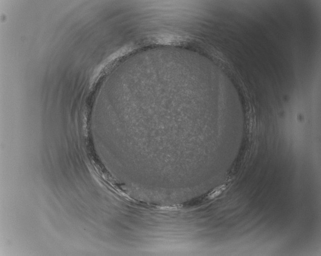 X0000051860587200507081825