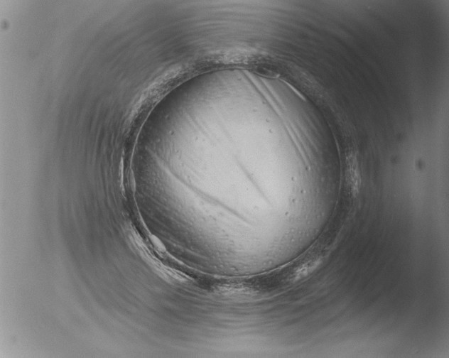 X0000051860589200507081825