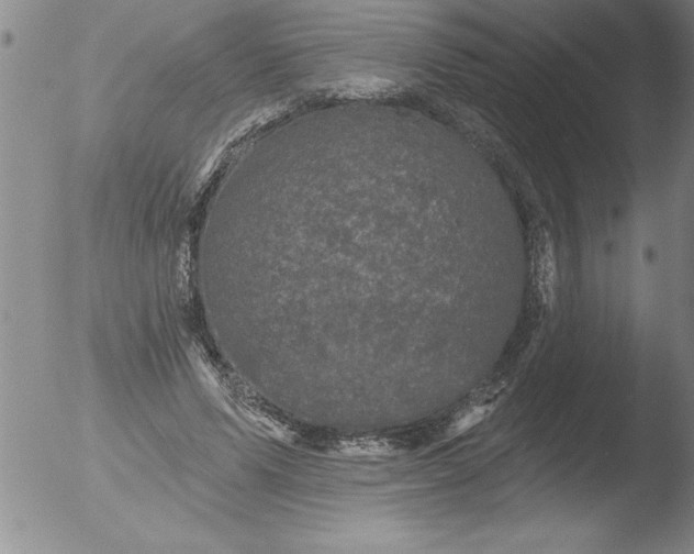 X0000051860591200507081825