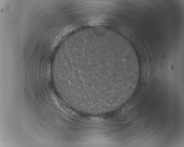 X0000051860592200507081824