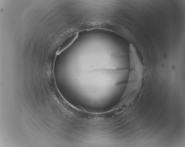 X0000051860593200507081824