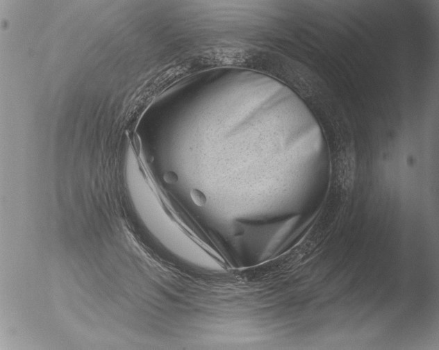 X0000051860594200507081824