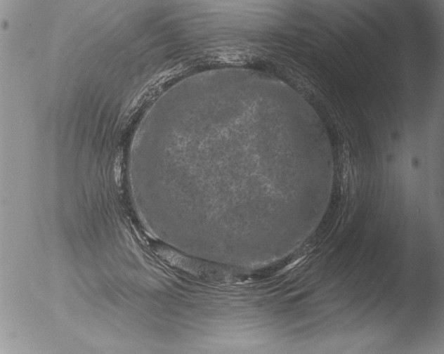 X0000051860595200507081824