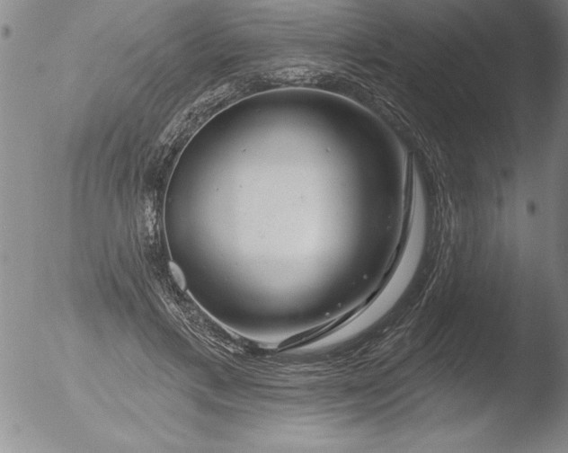 X0000051860597200507081824