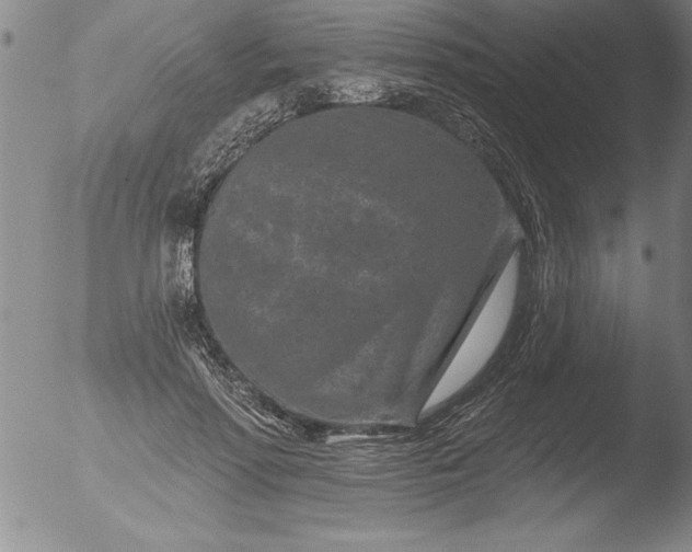 X0000051860598200507081824